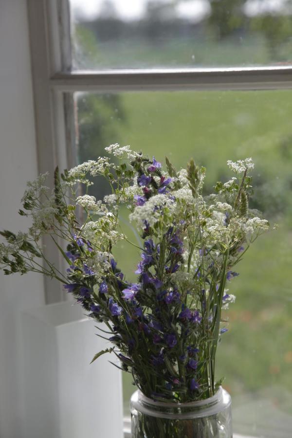 Stora Mellings Gard Bed and Breakfast Klintehamn Εξωτερικό φωτογραφία